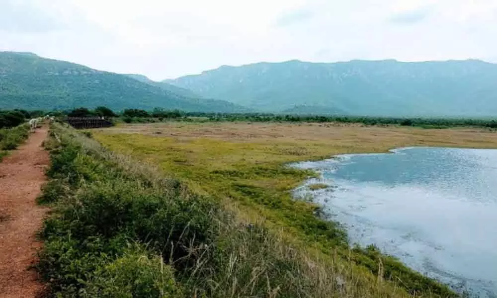 Kalangi Dam