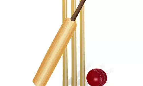 Cricket astronauts under pressure