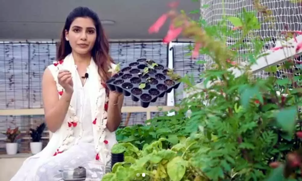 Samantha Akkineni Is All Set To Surprise Her Fans Tomorrow