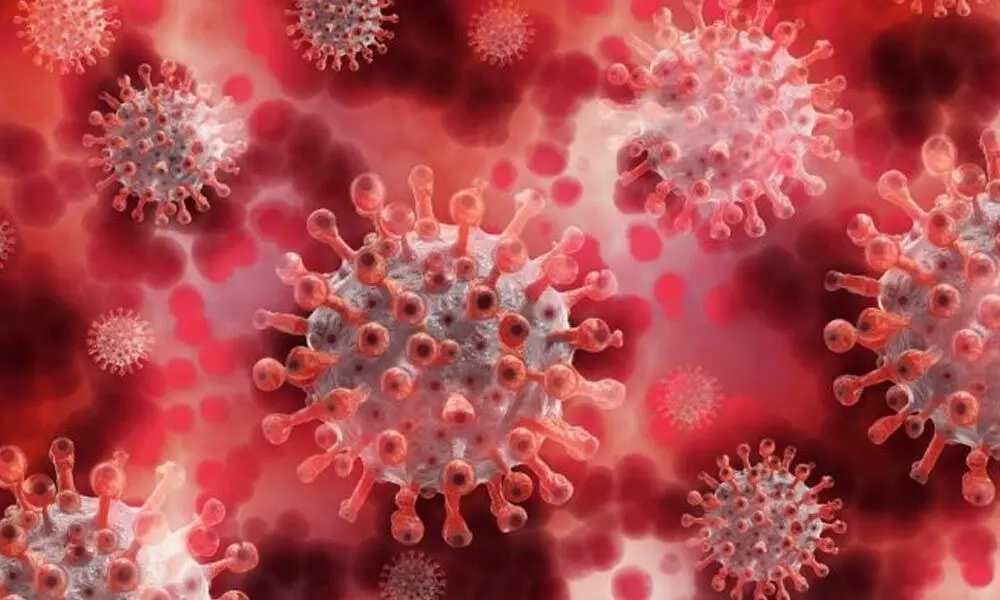 Coronavirus