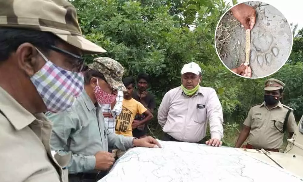 CFO of Warangal Circle MJ Akbar and DFO Purushotham discussing about the whereabouts of tigress near Vencharami village under Malharrao mandal Jayashankar-Bhupalpally district on Saturday