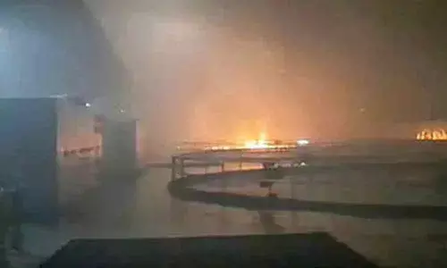 Srisailam power station fire: Rs 1 crore ex-gratia to deceased families