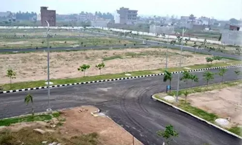 Penalise sellers, say illegal property buyers