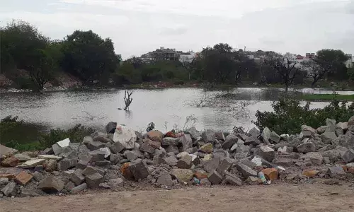 Rajendranagar lakes in throes of death