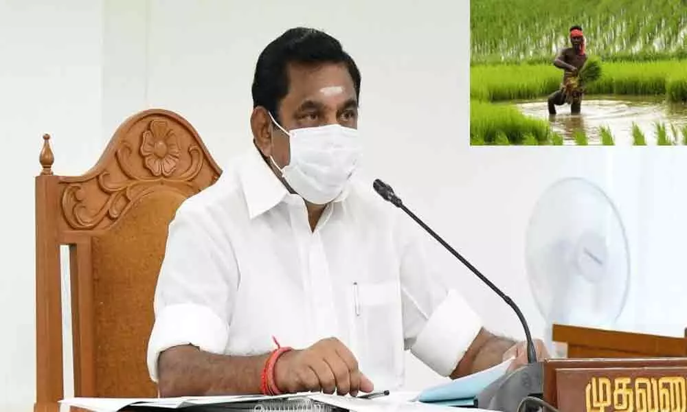 Action being taken against those involved in PM-Kisan scheme scam:  K Palaniswami