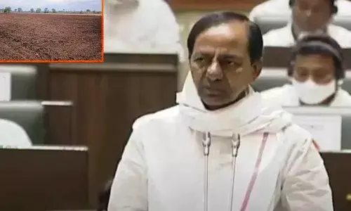 Land mutation to be done through Dharani portal: KCR