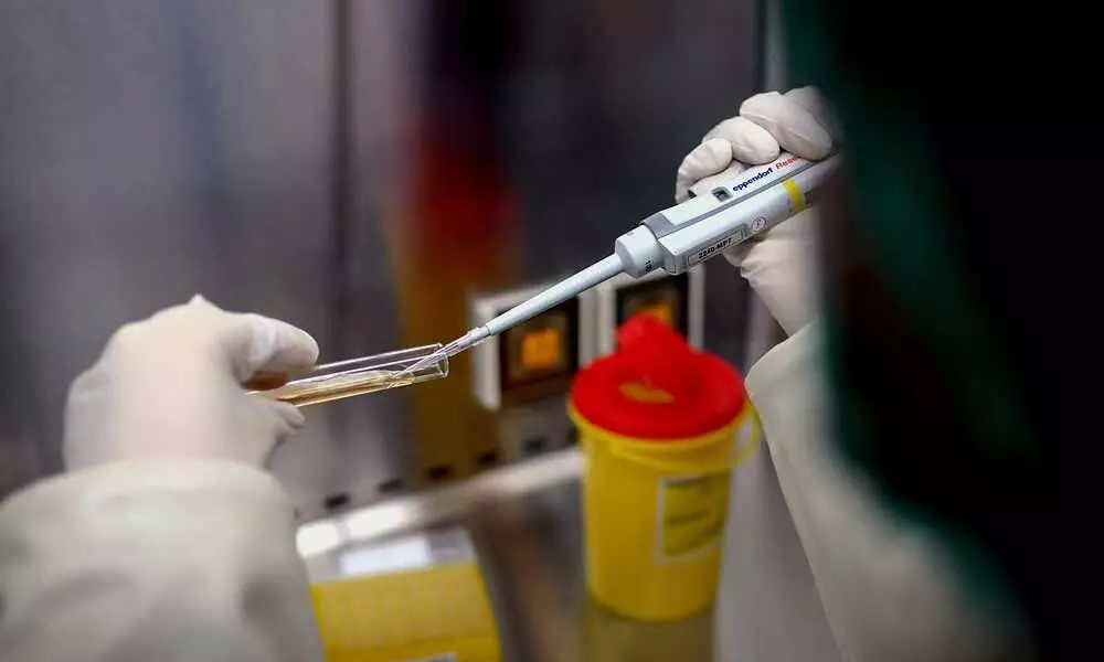 Coronavirus vaccine trials to continue in India despite halt in UK: SII