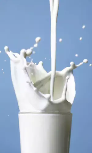 10 Delicious High Protein Foods