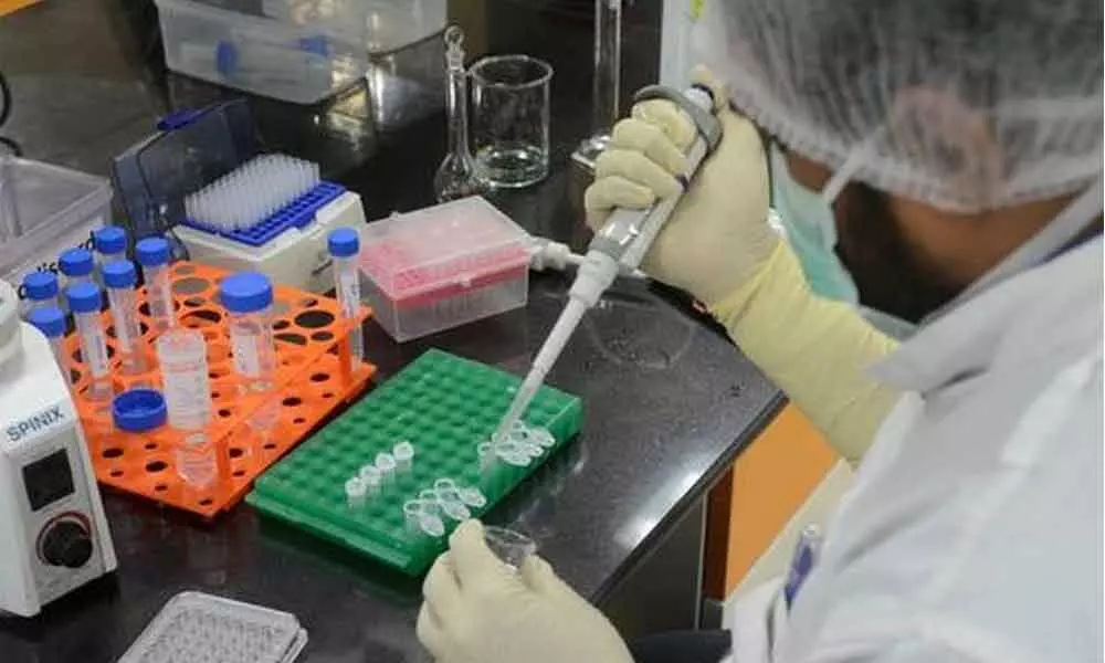 Serum Institute pauses Coronavirus vaccine trials