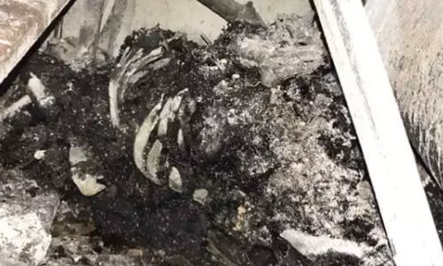 Worker burnt alive in fire at Pharma company in Hyderabad