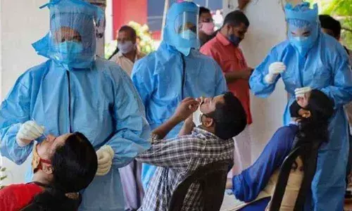 584 fresh coronavirus cases in last 24 hours