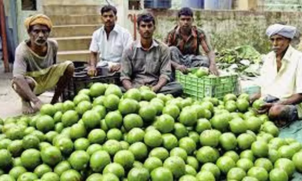 Brisk jackfruit sales jacks up happiness of Kodaikanal farmers