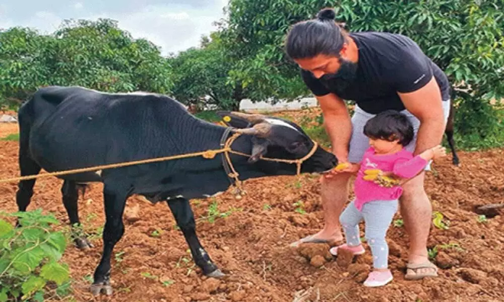 K.G.F star Yash has family time in the farmhouse