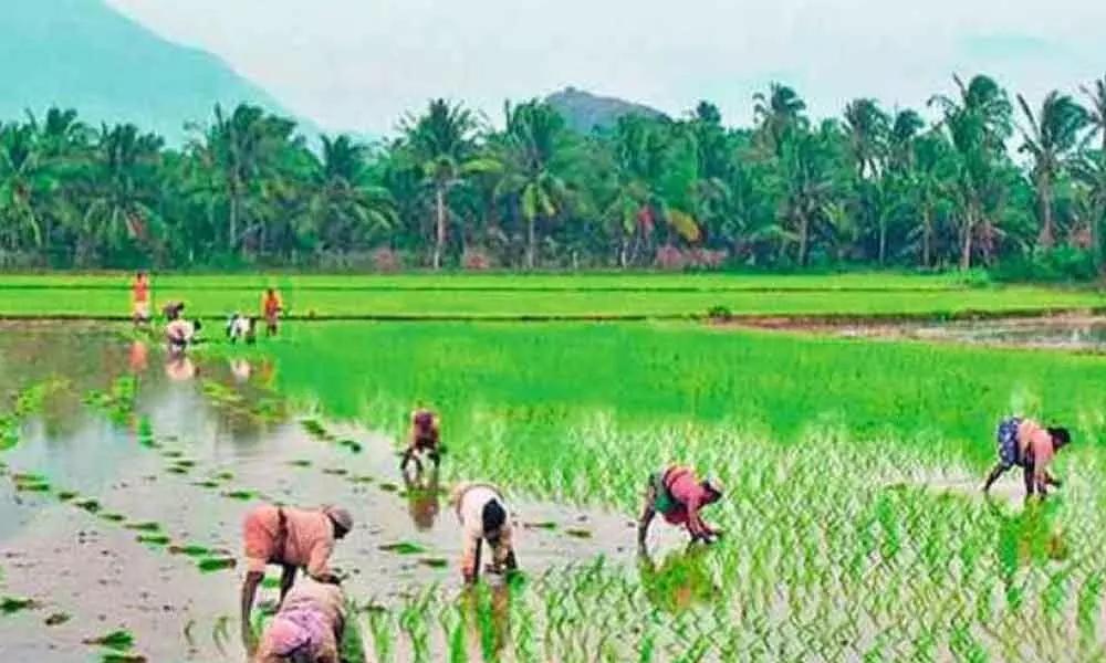 Telangana plans to nullify Centres farm Acts