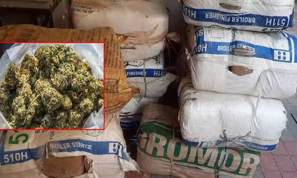 Telangana: Ganja worth Rs 2 crore seized in Bhadrachalam