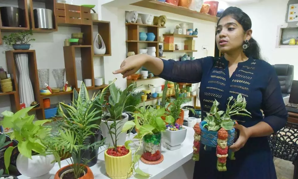 A pot of plant for a breath of fresh air!