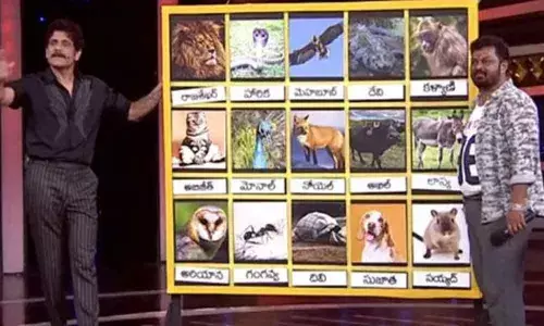 Bigg Boss Telugu 4: Episode 8 Highlights