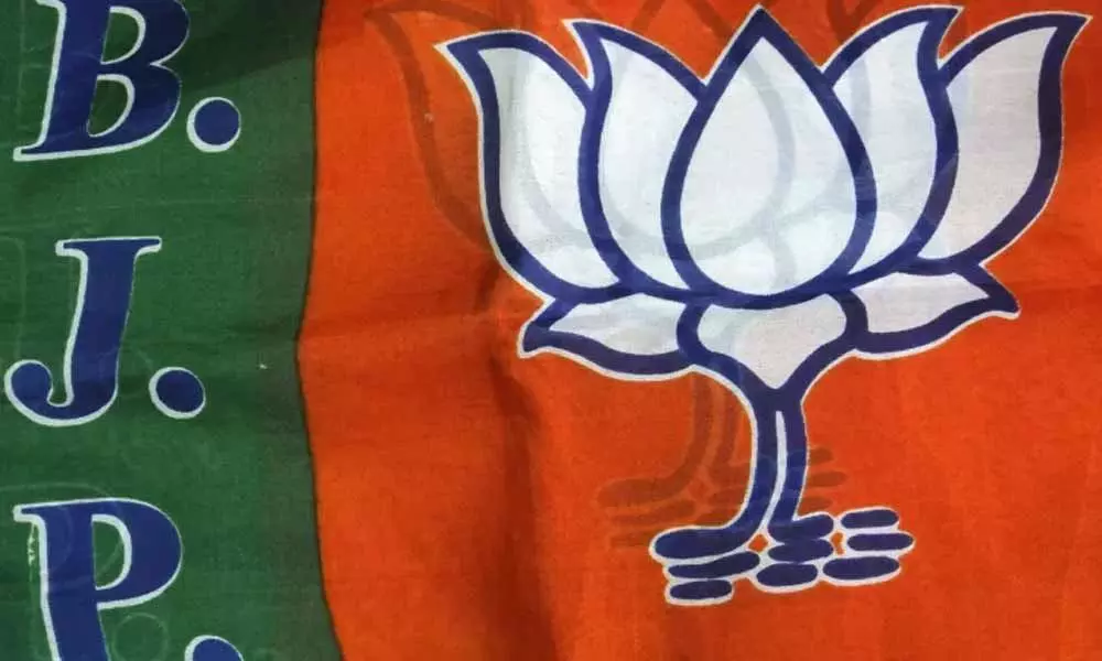 BJP MP raises Jharkhand religious conversions issue in Lok Sabha