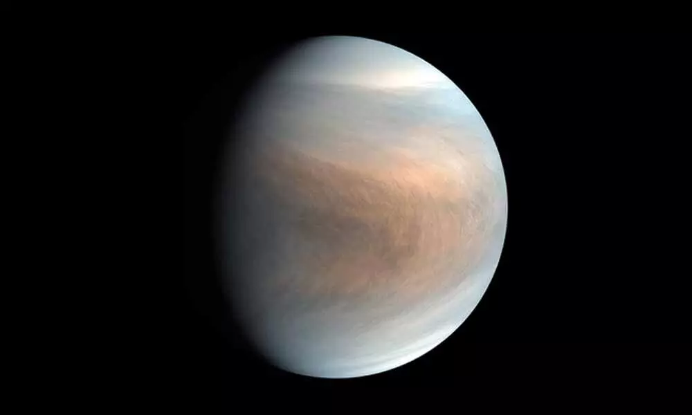 Scientists Find a Possible Sign of Life on Venus