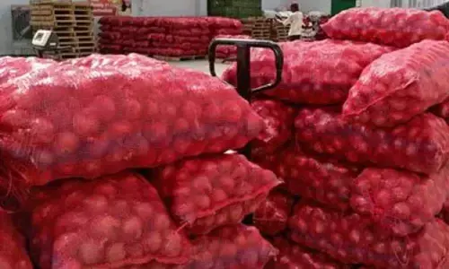 Maharashtra government to write to Centre for onion export ban roll-back