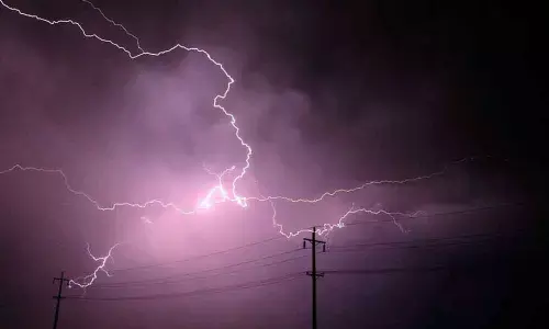 Lightning kills 7 in Madhya Pradesh