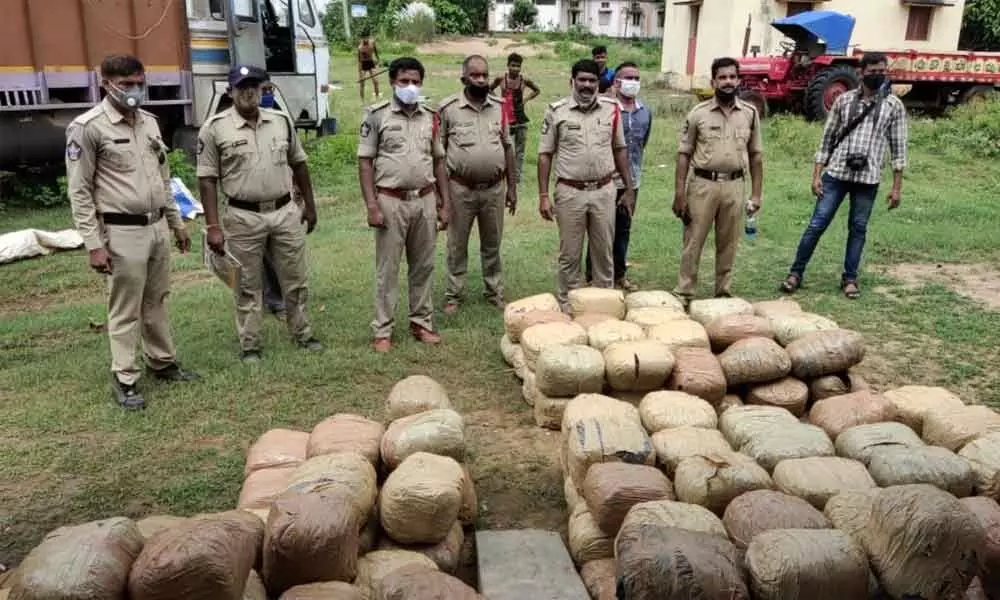 Ganja seized by police in Vizianagaram on Wednesday