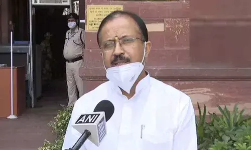 India Closely Engaged With US On H-1B Visa Issue: Union Minister