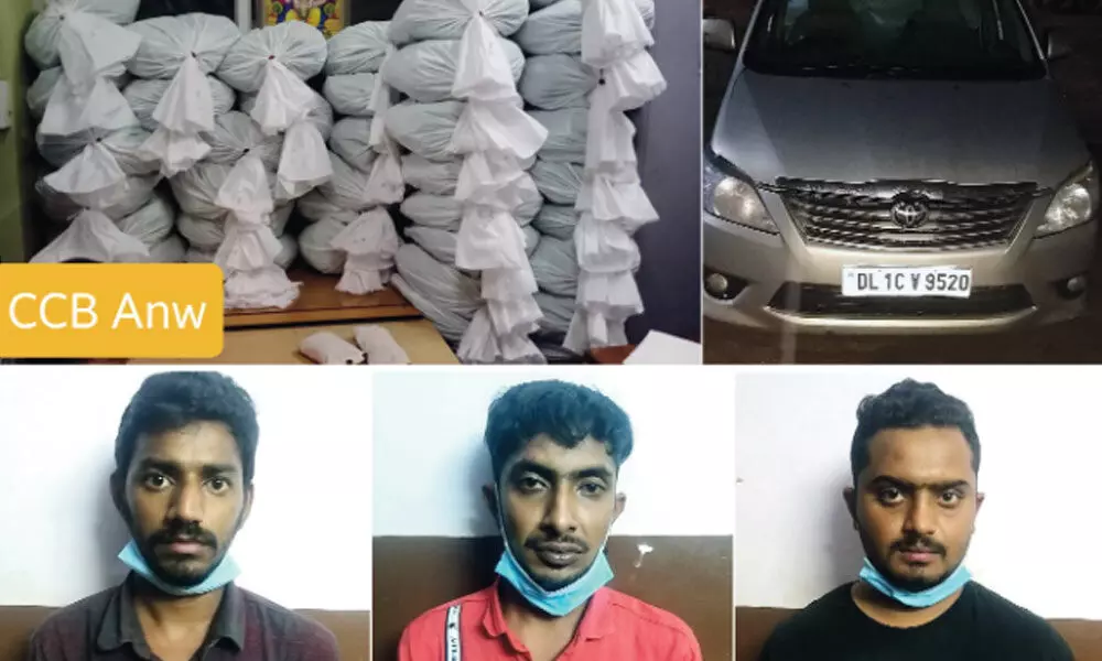 The CCB on Thursday seized 90 kilograms of ganja worth Rs 50 lakh from three drug peddlers in Bengaluru