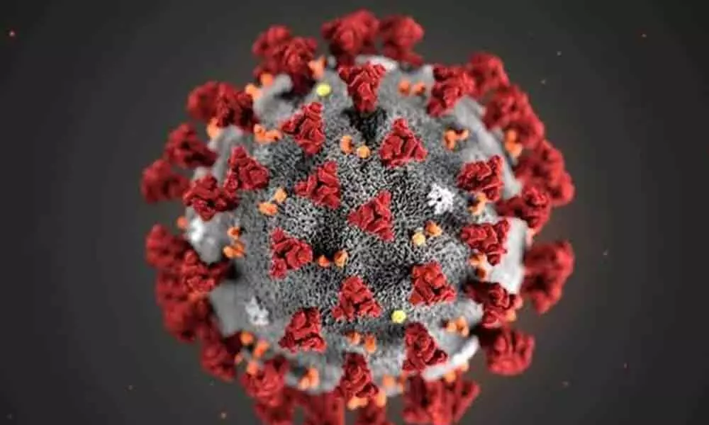 Coronavirus can cause decline in life expectancy globally: Study