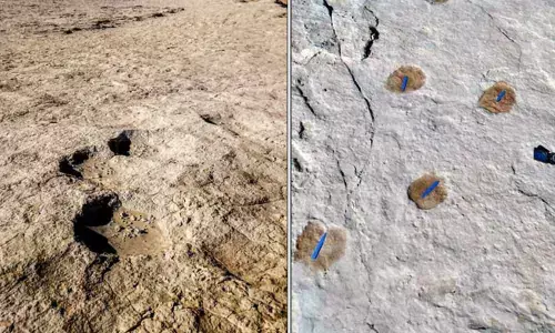 120,000-year-old human footprints found in Saudi Arabia