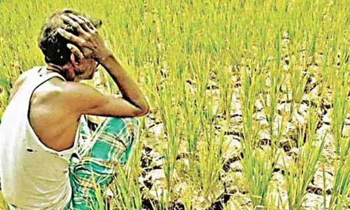 Opposition demands complete waiver of farm loans