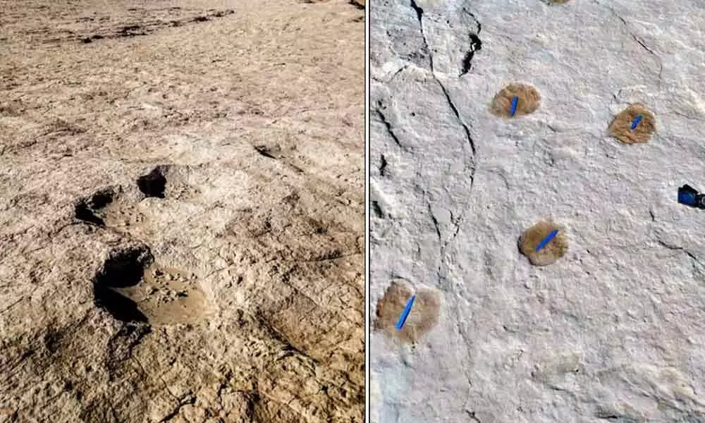 120,000-year-old human footprints found in Saudi Arabia