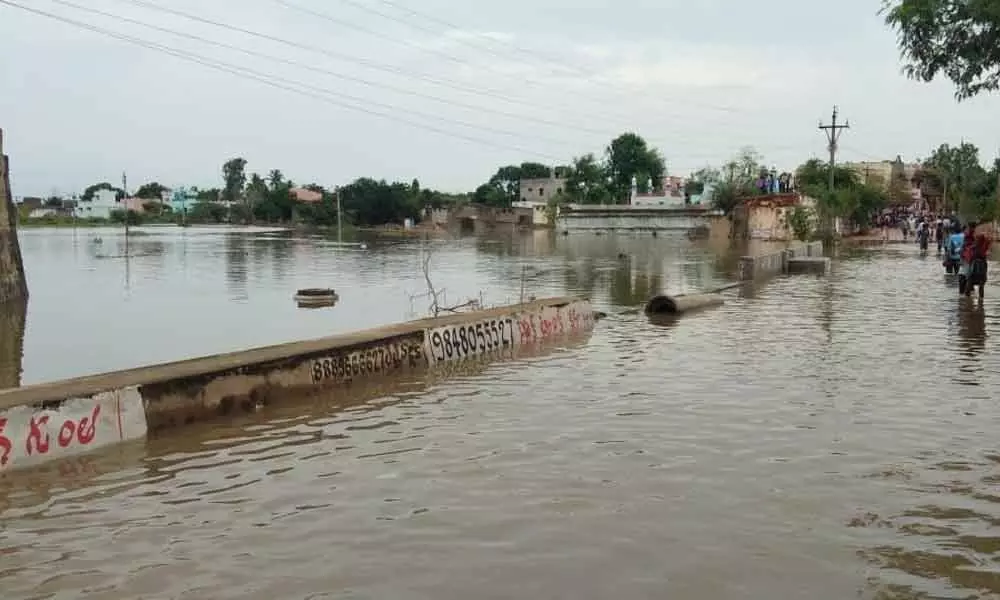 A road at Venkateswara Puram area submerged with floodwaters in Nellore on Sunday