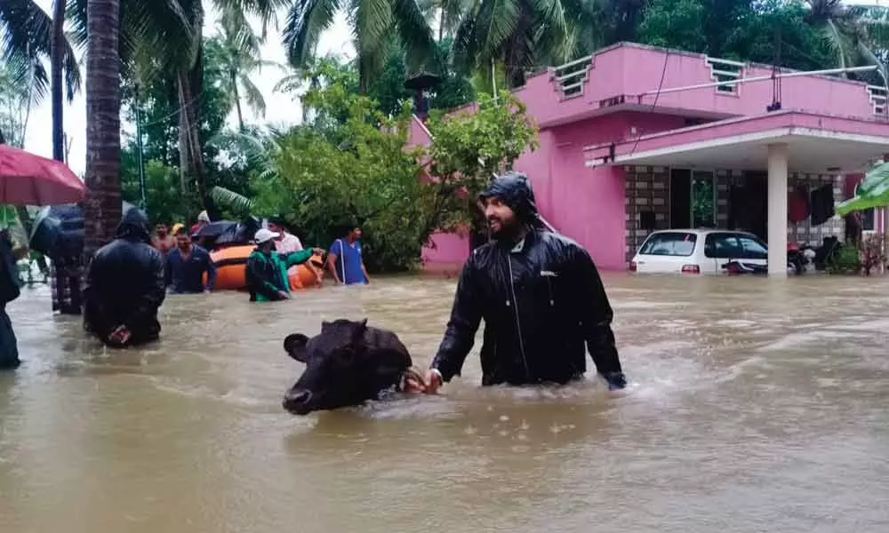 The State Disaster Relief Force rescue people and livestock as torrential rains hit coastal Udupi on Sunday
