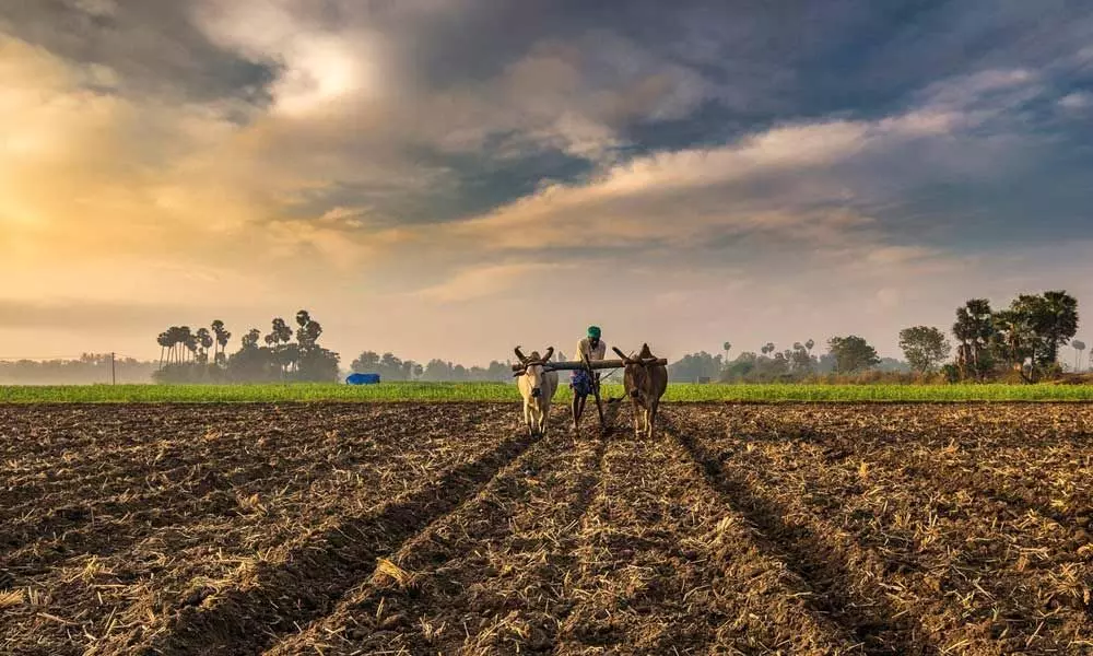 Centre’s new Agri Bill will spell doom for farmers