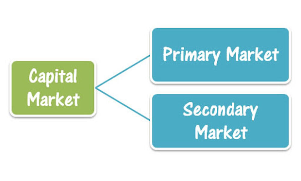 case study on primary market