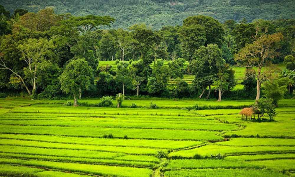 Building agriculture ecosystems the next frontier