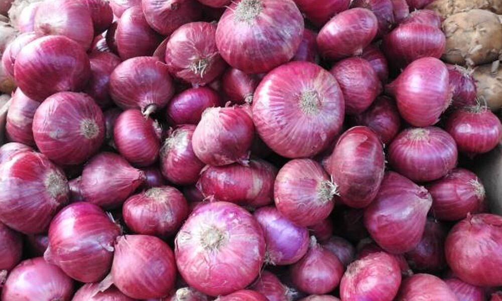 Karnataka requests Centre to lift export ban on 'Bangalore Rose Onion'