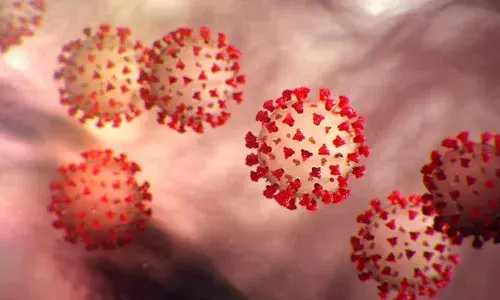 This new model may speed drug discovery for Coronavirus