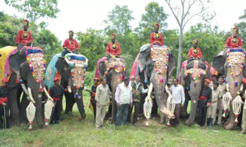 Pic for Representation only: During Gajapayana event in 2019 at Veeranahosalli near Nagarahole Tiger reserve at Hunsur taluk in Mysuru district
