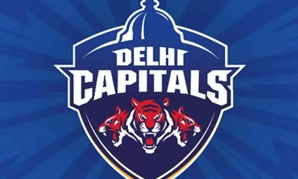 IPL 13: Sponsors & growing brand valuation boost Delhi Capitals revenue