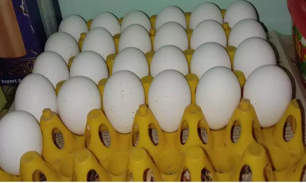 Steep rise in price of eggs as consumption goes up