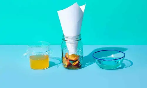 5 Simple Yet Effective Steps To Get Rid Of Fruit Flies