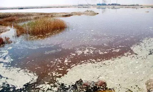 Andhra Pradesh High Court directs steps to prevent pollution of sea