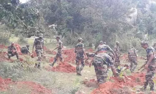 In Bannerghatta National Park, ‘Jungle Raj’ continues