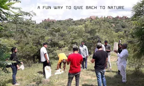 Non-governmental bodies take to spreading green in a unique way