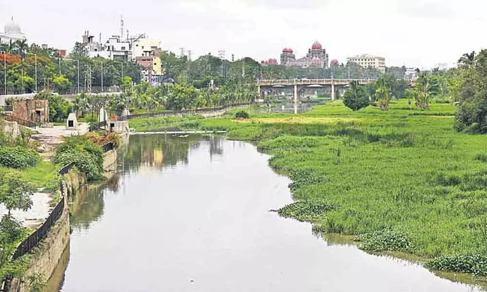NGT sets up committee to clean Hyderabads Musi river