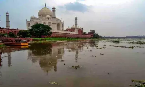 Sad state of Yamuna pains green warriors (World Rivers Day)