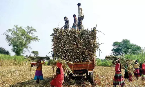 Divert farmers to high-value crops