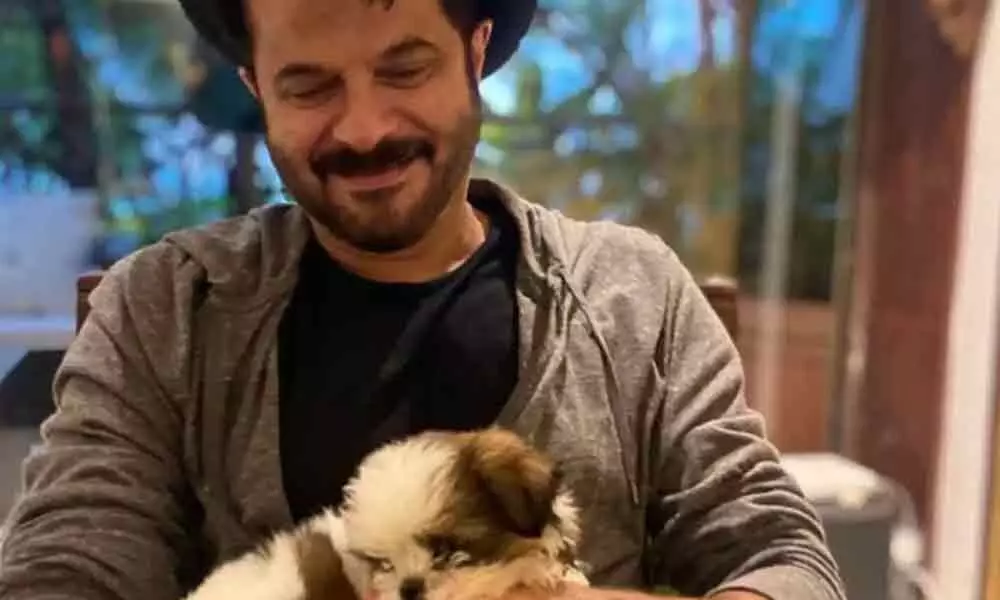 Anil kapoor with his pet